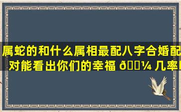 属蛇的和什么属相最配八字合婚配对能看出你们的幸福 🐼 几率吗